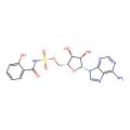 Salicyl-AMS