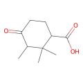 2,2,3-Trimethyl-4-oxocyclohexane-1-carboxylic acid