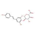 trans-Resveratrol 3-O-glucuronide