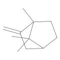 1,7,7-Trimethyl-2-methylidenebicyclo[2.2.1]heptane