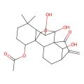 (9,10,18-Trihydroxy-12,12-dimethyl-6-methylidene-7-oxo-17-oxapentacyclo[7.6.2.15,8.01,11.02,8]octadecan-15-yl) acetate
