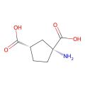 trans-ACPD