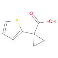 1-(噻吩-2-基)环丙烷羧酸