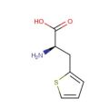 3-(2-噻吩基)-D-丙氨酸