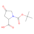 1-叔丁基-4-氧吡咯烷-2-羧酸