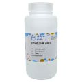 TPE缓冲液 (10×)