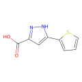 3-(2-噻吩基)-1H-吡唑-5-甲酸