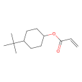 丙烯酸4-叔丁基环己酯 (顺反混合物)