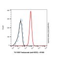 Trastuzumab (anti-HER2)