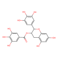Tea polyphenol