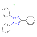 2,3,5-三苯基氯化四氮唑 溶液(TTC)