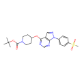 tert-butyl 4-[1-(4-methylsulfonylphenyl)pyrazolo[4,5-e]pyrimidin-4-yl]oxypiperidine-1-carboxylate