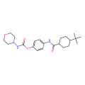 [4-[(4-tert-butylcyclohexanecarbonyl)amino]phenyl] N-morpholin-4-ylcarbamate