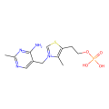 thiamine monophosphate