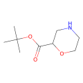 tert-butyl morpholine-2-carboxylate