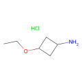 trans-3-ethoxycyclobutan-1-amine hydrochloride