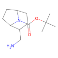 tert-butyl 2-(aminomethyl)-8-azabicyclo[3.2.1]octane-8-carboxylate