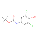 tert-butyl N-(3,5-dichloro-4-hydroxy-phenyl)carbamate