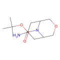tert-butyl exo-7-amino-3-oxa-9-azabicyclo[3.3.1]nonane-9-carboxylate
