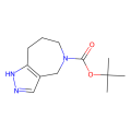 tert-butyl 4,6,7,8-tetrahydro-2H-pyrazolo[4,3-c]azepine-5-carboxylate
