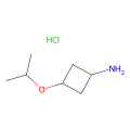 trans-3-(propan-2-yloxy)cyclobutan-1-amine hydrochloride