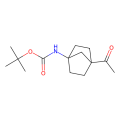 tert-butyl N-(4-acetylnorbornan-1-yl)carbamate