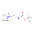 tert-butyl N-[[exo-8-azabicyclo[3.2.1]octan-3-yl]methyl]carbamate