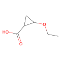trans-2-ethoxycyclopropanecarboxylic acid