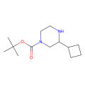tert-butyl 3-cyclobutylpiperazine-1-carboxylate