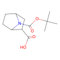 (1R,2R,4S)-7-tert-butoxycarbonyl-7-azabicyclo[2.2.1]heptane-2-carboxylic acid