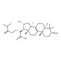 Tumulosic acid