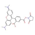 5-TAMRA琥珀酰亚胺酯
