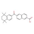 6-(5,5,8,8-Tetramethyl-6,7-dihydronaphthalene-2-carbonyl)naphthalene-2-carboxylic acid