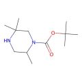tert-butyl 2,5,5-trimethylpiperazine-1-carboxylate