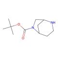 tert-butyl 2,6-diazabicyclo[3.2.1]octane-6-carboxylate