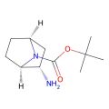 tert-butyl (1R,2S,4S)-2-amino-7-azabicyclo[2.2.1]heptane-7-carboxylate