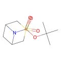 tert-butyl 3,3-dioxo-3-thia-6-azabicyclo[3.1.1]heptane-6-carboxylate