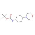 tert-butyl N-(4-morpholinocyclohexyl)carbamate
