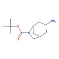 tert-butyl 3-amino-6-azabicyclo[3.2.1]octane-6-carboxylate