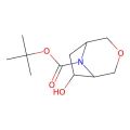 tert-butyl 6-hydroxy-3-oxa-8-azabicyclo[3.2.1]octane-8-carboxylate