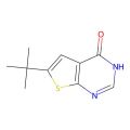 6-叔丁基-3H-噻吩并[2,3-d]嘧啶-4-酮