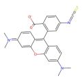 四甲基罗丹明-5(6)异硫氰酸酯
