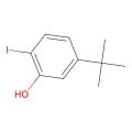 5-(叔丁基)-2-碘苯酚