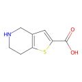 4，5，6，7-四氢噻吩[3，2-C]吡啶-2-羧酸