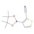 3-(4,4,5,5-四甲基-1,3,2-二氧杂硼杂环戊烷-2-基)噻吩-2-甲腈