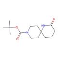 叔-丁基 2-羰基-1，9-二氮杂螺[5.5]十一烷-9-羧酸