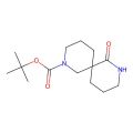 叔-丁基 5-羰基-4，10-二氮杂螺[5.5]十一烷-10-羧酸酯