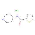 噻吩-2-羧酸哌啶-4-基酰胺盐酸盐