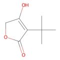 3-叔丁基-4-羟基呋喃-2(5H)-酮