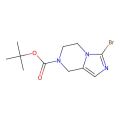 3-溴-5，6-二氢咪唑并[1，5-a]吡嗪-7(8H)-羧酸叔丁酯
